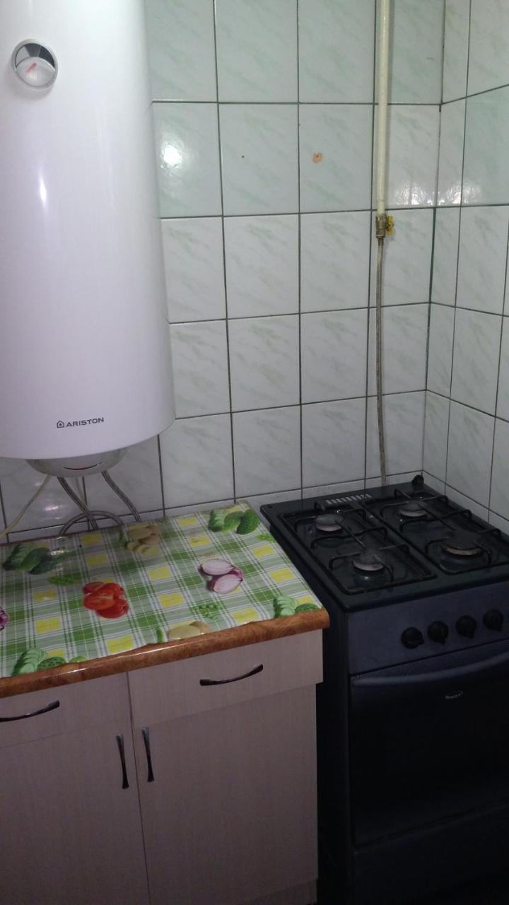 Базилік Люкс Apartment Yaremche Luaran gambar